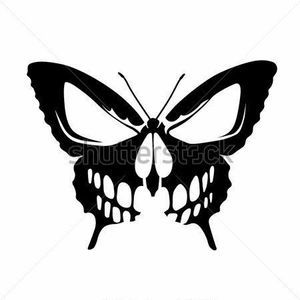 Meet your Posher, Andy